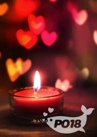 玲珑阁秘事(古代NP)